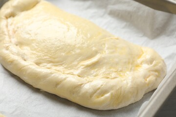 Uncooked calzone pizza in baking dish, closeup