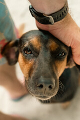 Fototapete bei efototapeten.de bestellen   