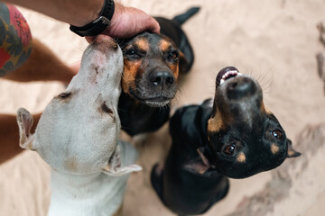 Fototapete bei efototapeten.de bestellen   