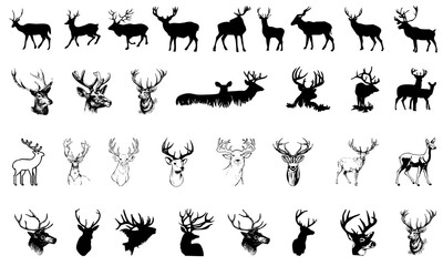 Deer icon collection