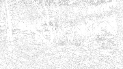 Artistic and abstract image. Wallpaper