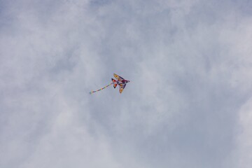 Kite in flight against the sky