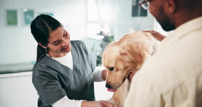 Dog, owner and medical consultation with doctor for sick appointment, affection and treatment discussion. Veterinarian, person and pet patient in clinic for health diagnosis, animal care and support