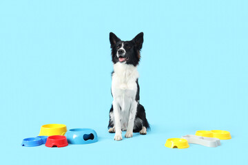 Cute Border Collie dog with feeding bowls on blue background