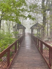 Obraz premium wooden bridge in the woods