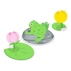 3D Isometric Flat Vector Set of Cartoon Frogs, Toad Life Cycle. Item 1