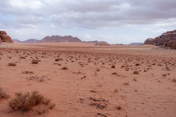 A desert landscape with a cloudy sky