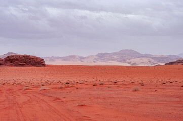 A desert landscape with a cloudy sky in the background