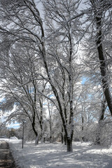 Panorama of South Park in city of Sofia, Bulgaria