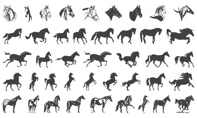 Horse icon collection