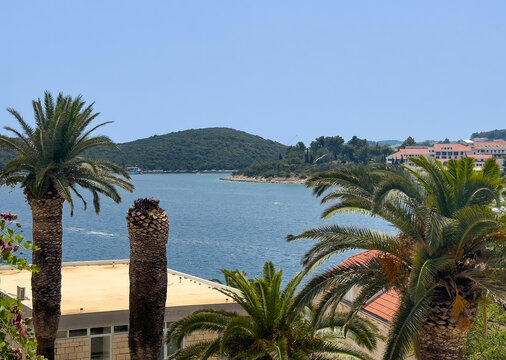 Korcula, Croatia - June 30, 2024: Looking W-SW from the Southern gate tower over Studenac Market, the yellow roof shows a green forested island and the Aminess Liburna Hotel buildings. Palm trees in f