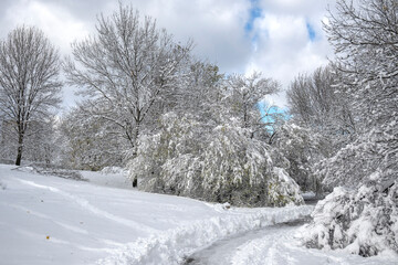 Panorama of South Park in city of Sofia, Bulgaria