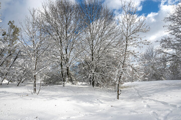 Panorama of South Park in city of Sofia, Bulgaria