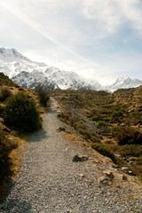 Path in the New Zealand Alps, Scenic Mountain Trail through Stunning Landscape