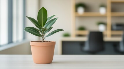Minimalist office decor with indoor plant on desk enhancing workspace ambiance