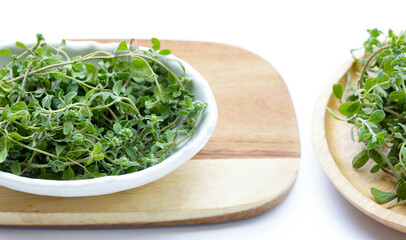 Fresh marjoram on white background.