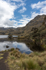 landscape with lake