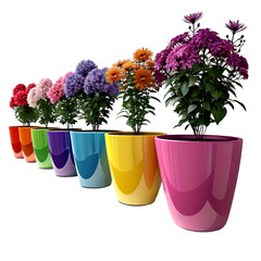 Beautiful Flowers in Decorative Pots