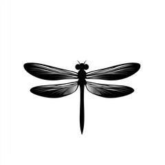 Black and white dragonfly illustration. (2)