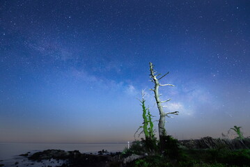 原始の風景を彷彿させる海岸と能登半島の天の川