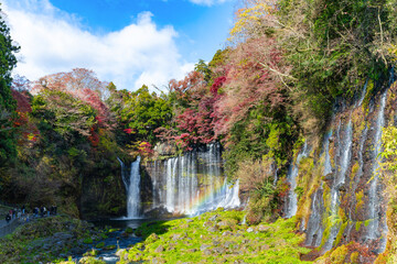 静岡県富士宮市　紅葉の白糸の滝