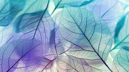 Delicate Skeleton Leaves in Blue and Purple Hues