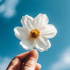 white flower in hand