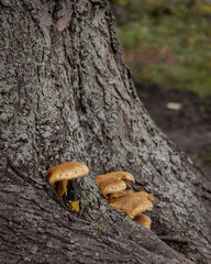 Photos around Helsinki