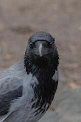 Photos around Helsinki