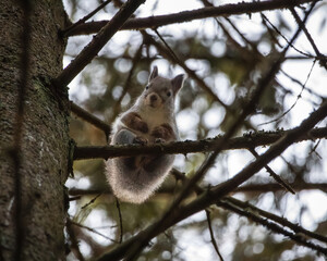 Photos around Helsinki