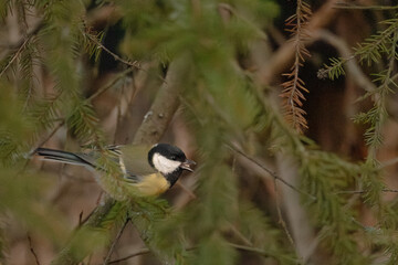 Photos around Helsinki