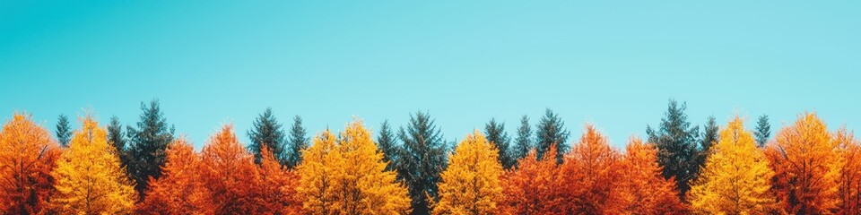 Fototapeta premium Majestic eagle soaring above vibrant autumn forest nature photography clear sky scenic viewpoint