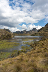 Naklejka premium landscape with lake