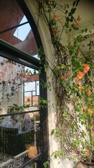 Door, Greenery Outside, and Wooden Interior