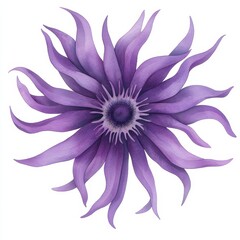 Fototapeta premium Purple Flower Blossom, Watercolor Painting of a Vibrant Clematis, Isolated on White Background Cutout