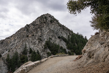 Eaton Saddle Trailhead. Mt Wilson Red Box Rd.  San Gabriel Mountains, Los Angeles County, California. Angeles National Forest. Quartz Diorite / Gray quartz diorite / Plutonic rocks	
