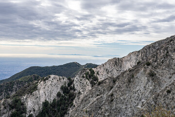 Eaton Saddle Trailhead. Mt Wilson Red Box Rd.  San Gabriel Mountains, Los Angeles County, California. Angeles National Forest. Quartz Diorite / Gray quartz diorite / Plutonic rocks	
