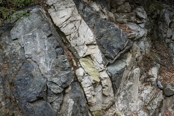  Mt Wilson Red Box Rd. San Gabriel Mountains, Los Angeles County, California. Quartz Diorite / Gray quartz diorite / Plutonic rocks. complexly intruded by dikes, sills and pods of leucogranitic rocks 