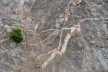  Mt Wilson Red Box Rd. San Gabriel Mountains, Los Angeles County, California. Quartz Diorite / Gray quartz diorite / Plutonic rocks. complexly intruded by dikes, sills and pods of leucogranitic rocks 