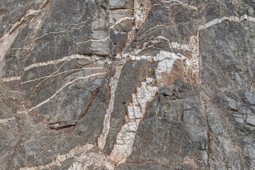  Mt Wilson Red Box Rd. San Gabriel Mountains, Los Angeles County, California. Quartz Diorite / Gray quartz diorite / Plutonic rocks. complexly intruded by dikes, sills and pods of leucogranitic rocks 