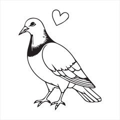 Pigeon silhouette line art illustration.