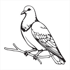 Pigeon silhouette line art illustration.