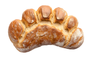Bear Paw Shaped Artisan Bread Isolated On A White Background, PNG Transparent