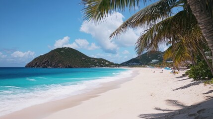 Fototapeta premium Serene Tropical Beach with Calm Waves and Lush Palm Trees