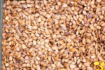 Close-Up View of Roasted Sesame Seeds in a High Resolution Presentation
