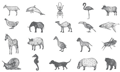 Obraz premium Animal scribble icon collection