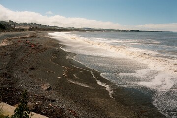Shore of Oamaru, Scenic Coastal Landscape in New Zealand