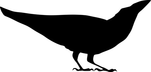 Bird Raven Crow Black Silhouette for Icon.