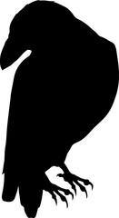 Bird Raven Crow Black Silhouette for Icon.