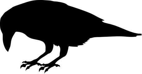 Bird Raven Crow Black Silhouette for Icon.